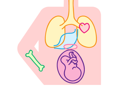 むし歯や歯周病と全身の病気の関係