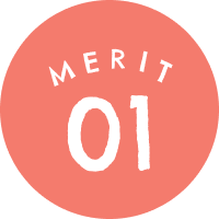MERIT 01