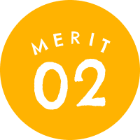 MERIT 02