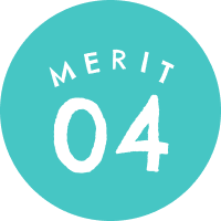 MERIT 05